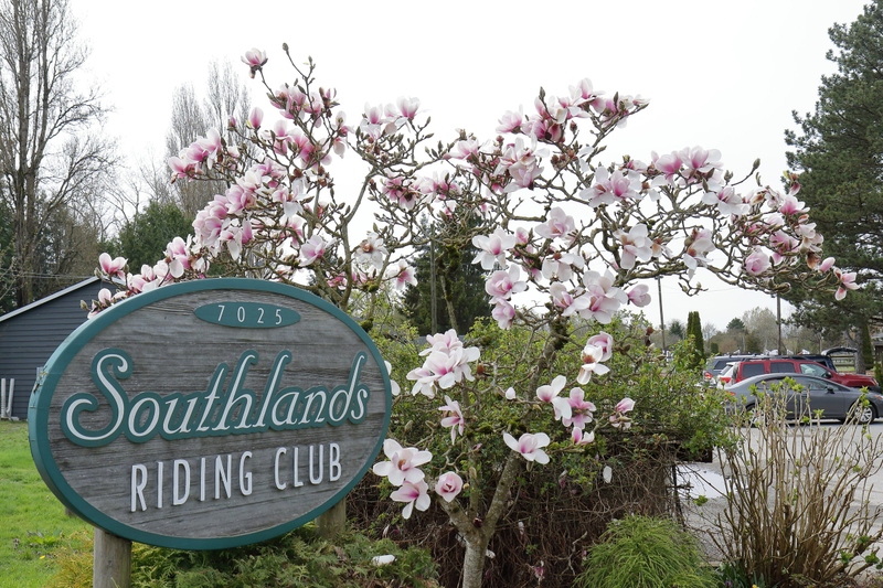 Illustration for article titled Pics from the (Stable)side: 2018-04-15 to Southlands